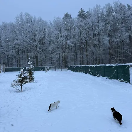 Ranczo Pod Debami Pensión Wola Smolana