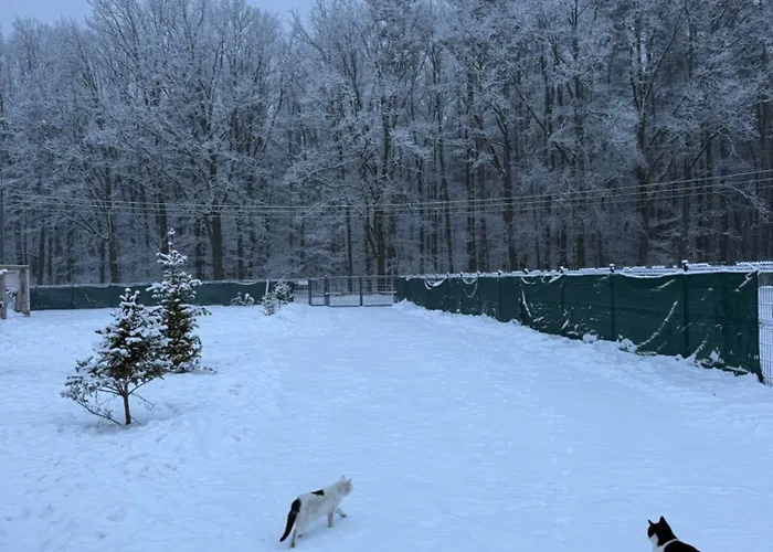 Ranczo Pod Dębami Pensjonat Wola Smolana